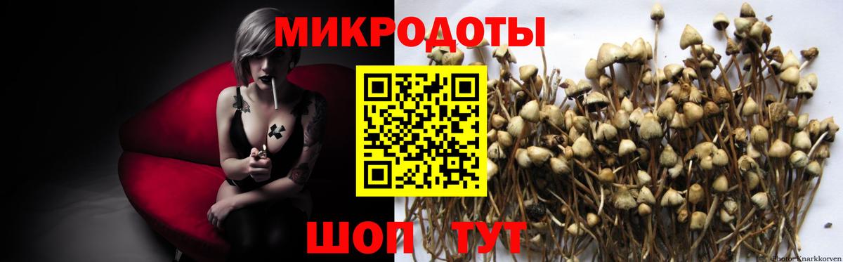 Галлюциногенные грибы Magic Shrooms Кушва